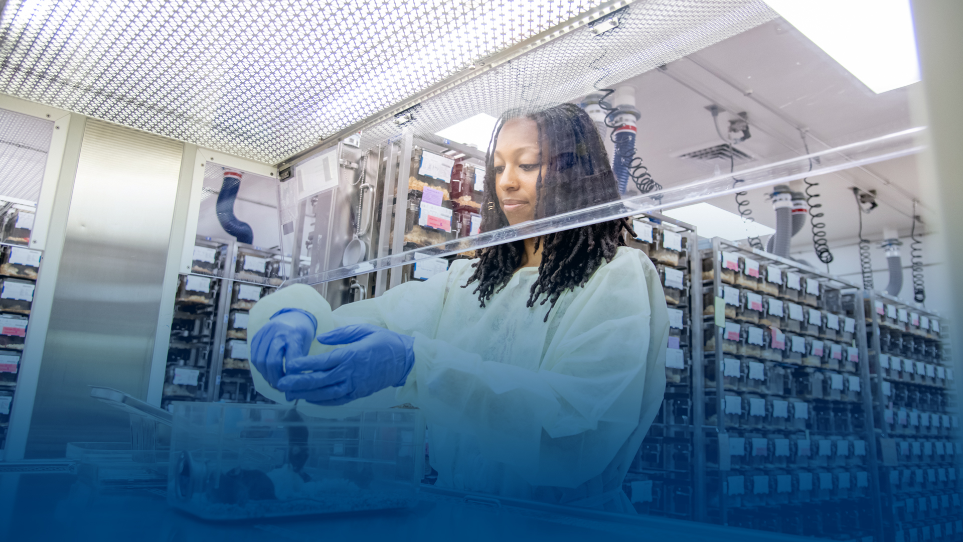 Dr. Brittany Southern caring for rodent at ACS facility